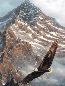 Richard Henry Bohle obituary photo
